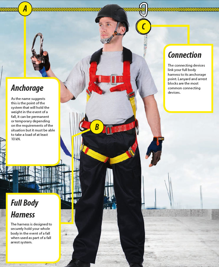 Full Body Harness Diagram